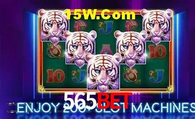 565Bet São Paulo - Jogo Providers