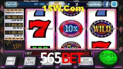 565Bet - User Statistics